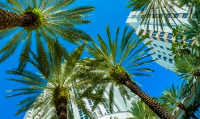Miami Probate & Real Estate Litigation Lawyer Miami Probate & Real Estate Litigation Lawyer